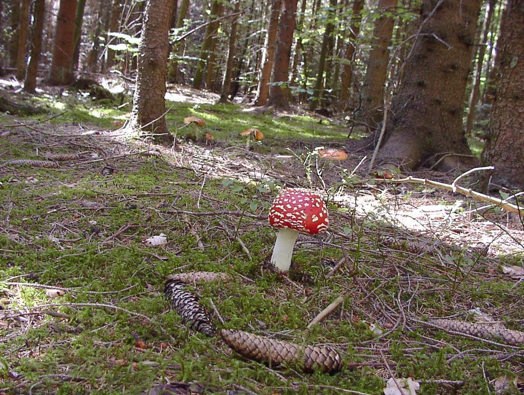 Gaestehaus Eichwald Neuenburg  Bagian luar foto